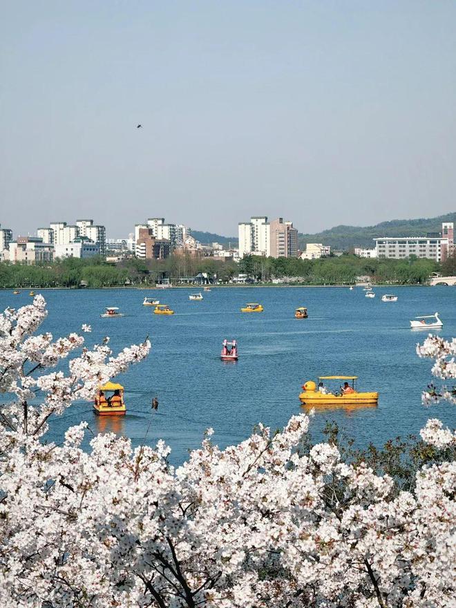 51阜阳出发【花漾金陵】秦淮河夫子庙中山陵侵华日军南京大屠杀遇难同胞纪念馆玄武湖二日游(图5)