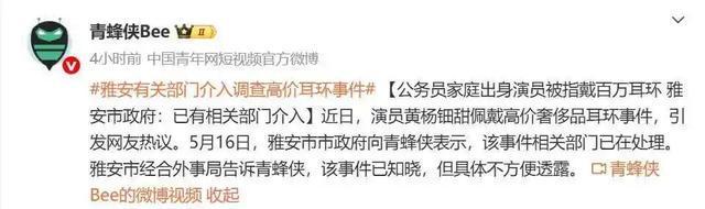 黄杨钿甜天价耳环引全网破案！父亲公务员履历被扒(图9)