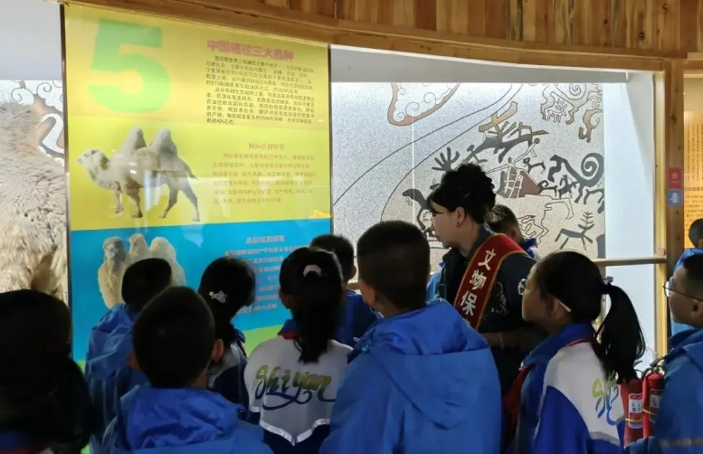 金川区：多维创新激活文旅产业发展新动能(图1)