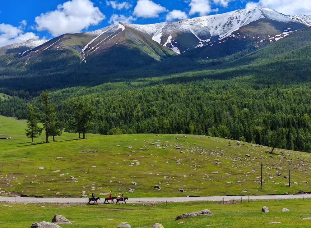 镜观·回响｜中华文化迸发赋能发展之力(图2)