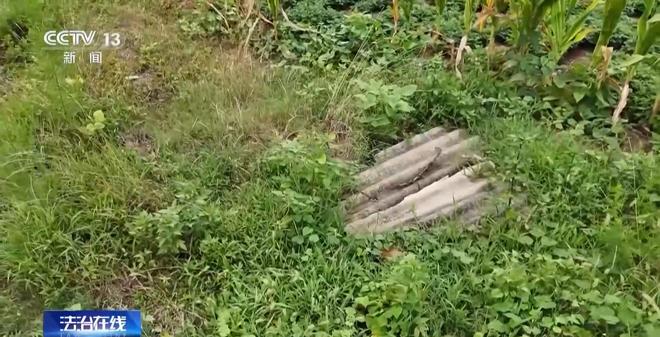 看小说学盗墓挖走20余件国宝 特大盗墓案细节曝光(图18)