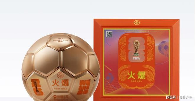 五粮液牵手FIFA世界杯范志毅出任福利官球迷狂欢开启(图5)