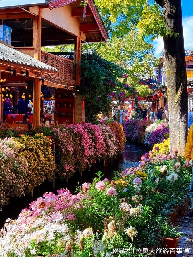 云南旅游5天4晚旅游团云南跟团五日游路线看完不踩坑推荐(图2)