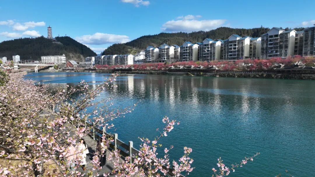 贵州锦屏：踔厉奋发谱华章砥砺前行结硕果(图4)