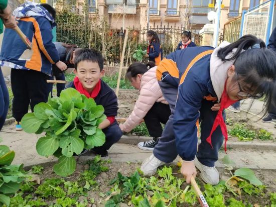 奋进五年 教育答卷 上海教育“十四五”规划圆满收官(图4)