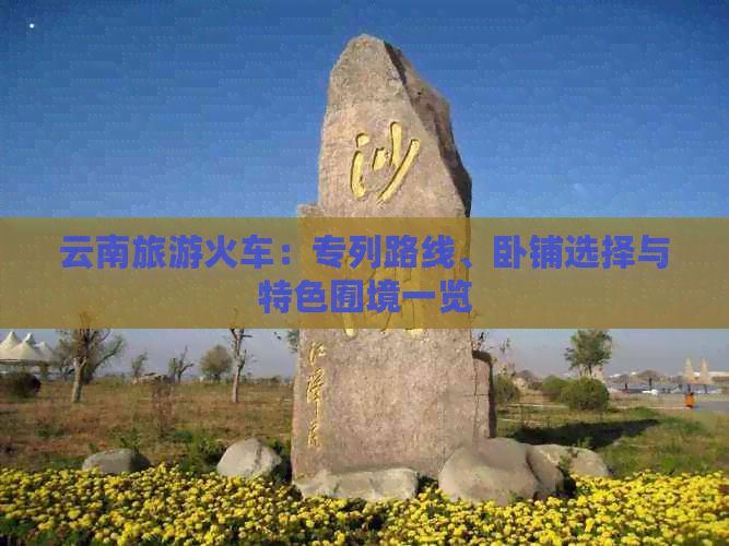 云南有绿皮火车去旅游(图3)