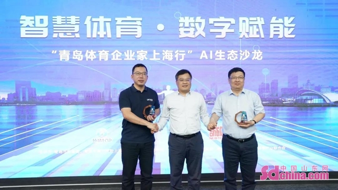 龙采体育集团简介(图1)