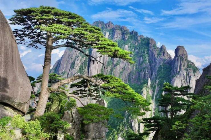 黄山风景区面向全球游客实行门票半价优惠政策(图5)
