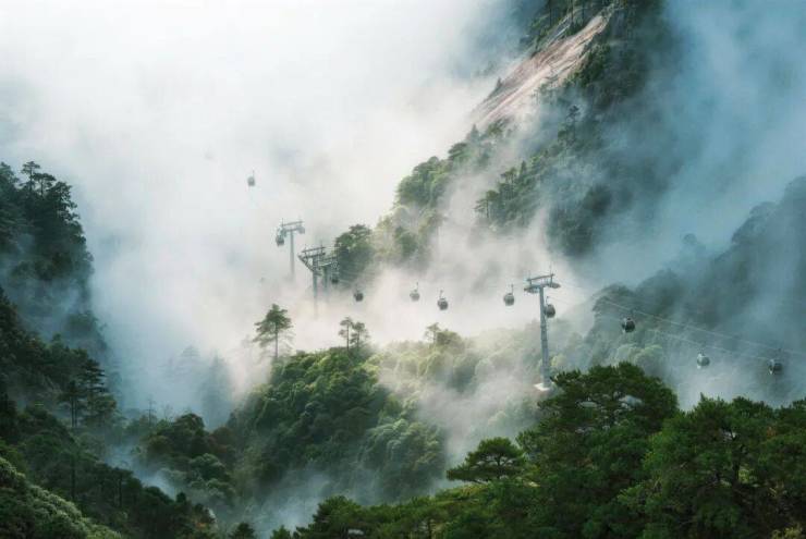 黄山风景区面向全球游客实行门票半价优惠政策(图11)